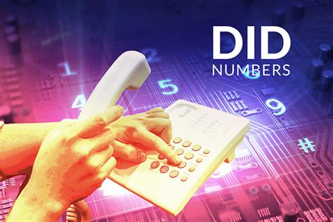 did numbers.